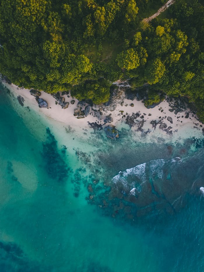 Stunning aerial view of a pristine beach in Bali with turquoise waters and lush greenery.